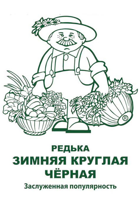 Редька Черная зимняя круглая 2г