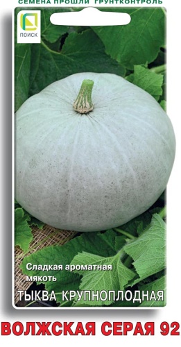 Тыква Волжская серая 10шт крупноплодная