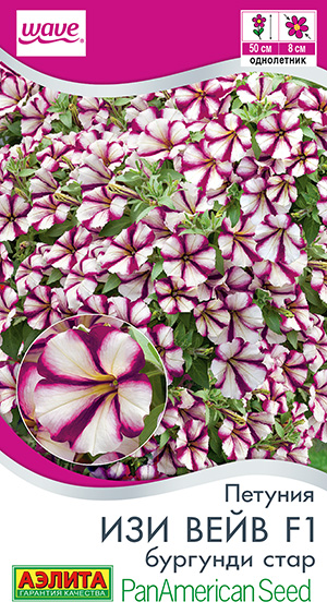Петуния Изи Вейв бургунди стар 4шт
