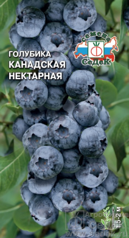 Голубика Канадская Нектарная 0,05г