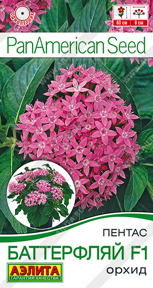 Пентас Баттерфляй орхид 3шт