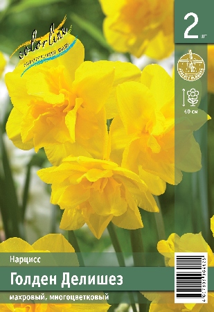 Нарцисс ЭКОНОМ-СЕРИЯ ГОЛДЕН ДЕЛИШЕЗ (2 шт)