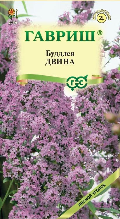 цБуддлея Двина 0,15г Лесной уголок