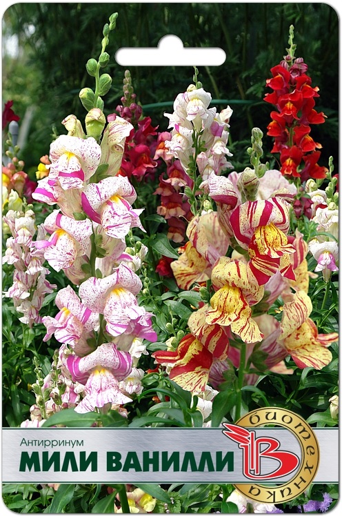 Антирринум Мили Ванилли 0,02гр