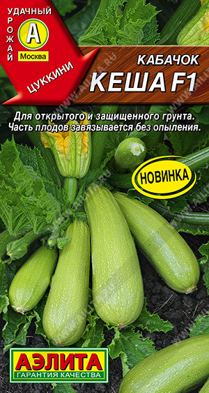 Кабачок Кеша цуккини 7шт Кабачок Кеша цуккини 7шт