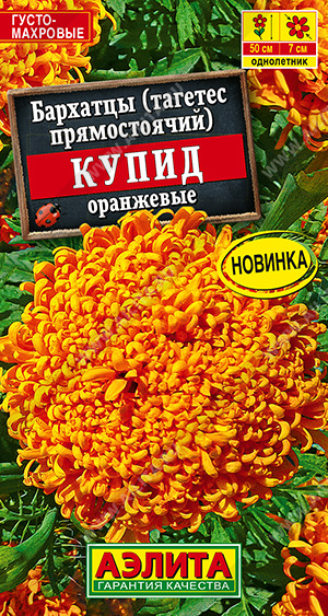 Бархатцы Купид оранжевые 0,3г