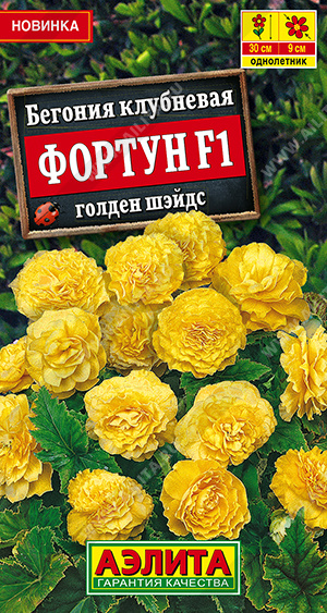 Бегония Фортун голден шэйдс 5шт