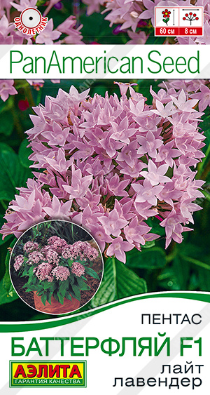 Пентас Баттерфляй лайт лавендер 3шт