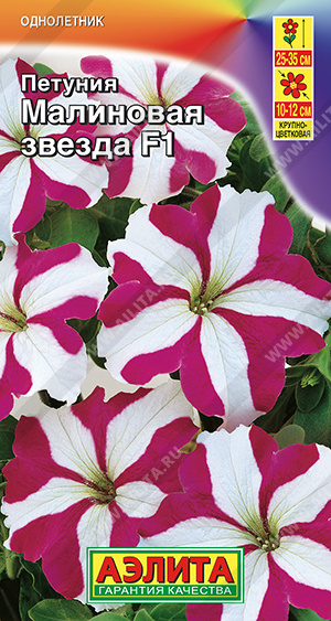 Петуния Малиновая звезда 7шт Петуния Малиновая звезда 7шт