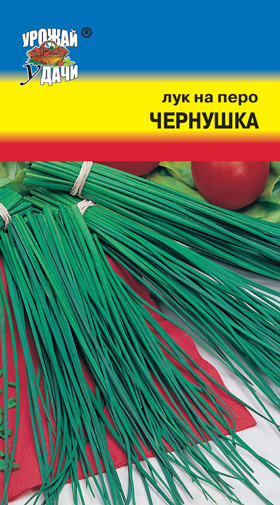 Лук на перо Чернушка