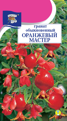 цГранат Оранжевый мастер 5шт