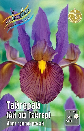 Ирис голл. Тайгерай (Ай оф Тайгер) (10 шт)