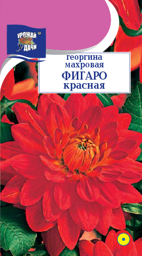 цГеоргина Фигаро красная 0,05г