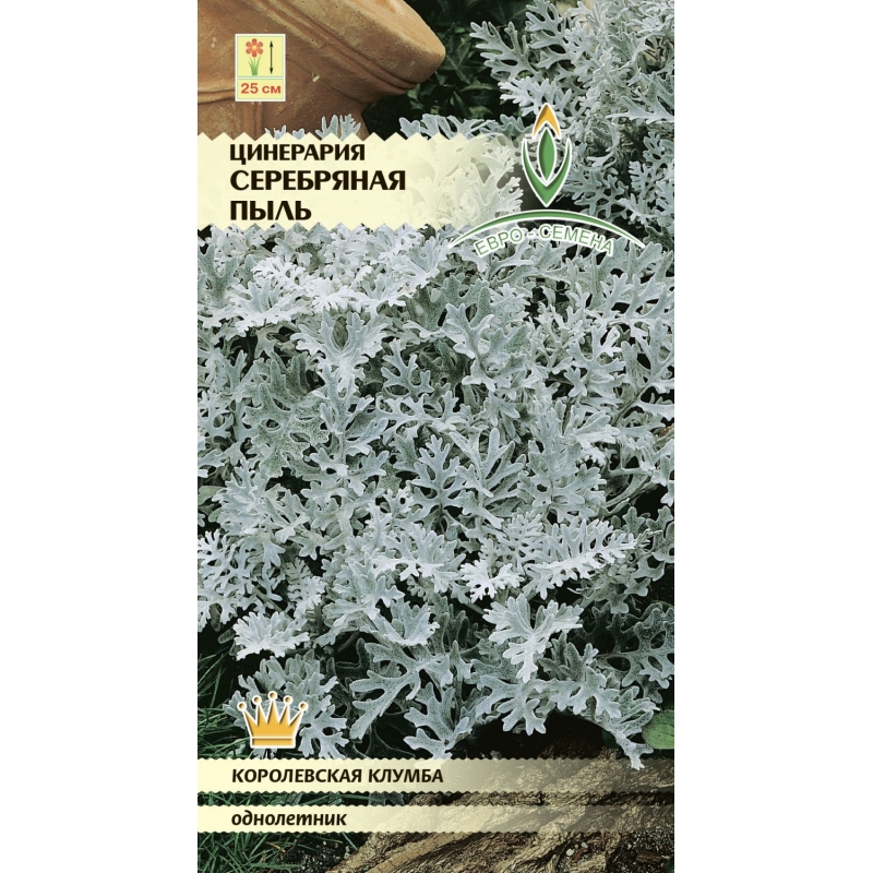 цЦинерария Серебряная пыль 0,05г