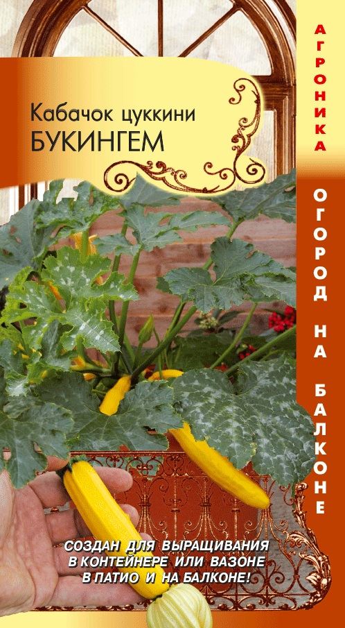 Кабачок Букингем цукини 3шт.(Огород на балконе!)
