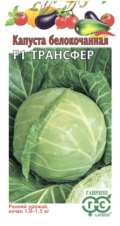 Капуста бк Трансфер 10шт