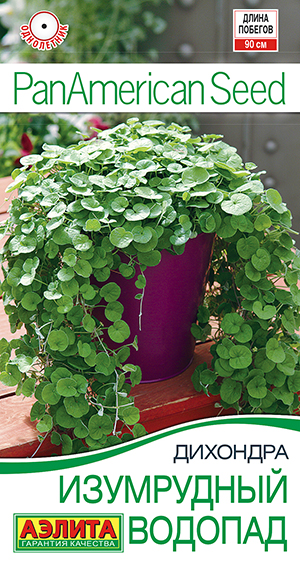 Дихондра Изумрудный водопад 3шт