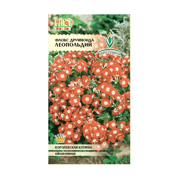 цФлокс Леопольдий 0,1г друммонда