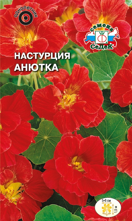 цНастурция Анютка вьющаяся 1г