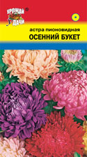 цАстра Осенний Букет смесь