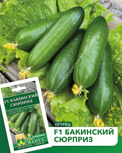 Огурец Бакинский сюрприз 10шт