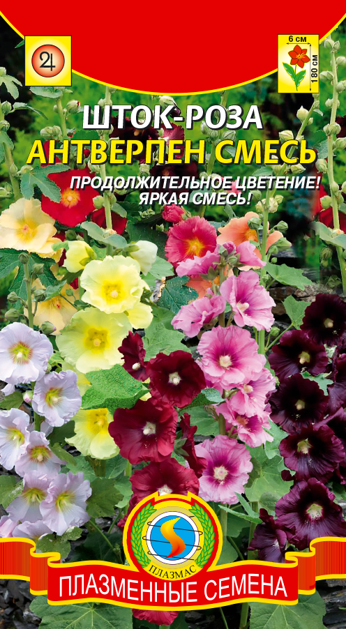 цШток-роза Антверпен смесь 12шт +