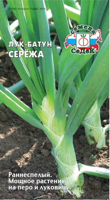 Лук батун Сережа 0,3г (межвидовой)