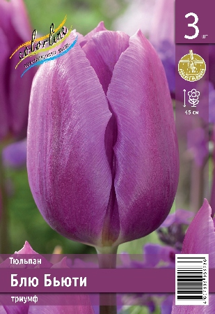 Тюльпан ЭКОНОМ-СЕРИЯ БЛЮ БЬЮТИ (3 шт)
