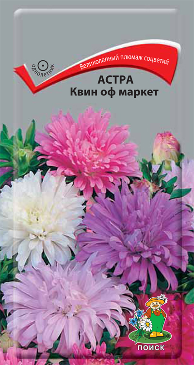 цАстра Квин оф Маркет 0,3г
