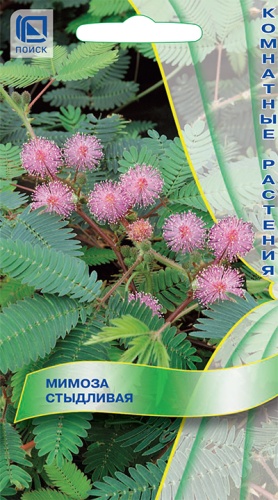 Мимоза Стыдливая 0,3г