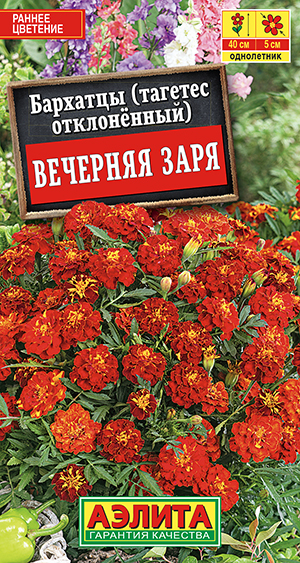 Бархатцы Вечерняя заря откл. 0,3г