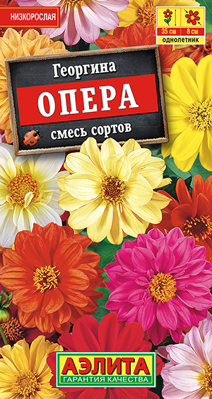 Георгина Опера, смесь 7шт