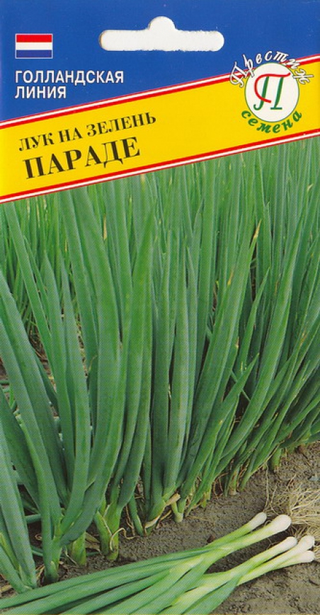 Лук на зелень Параде 0,5г (Голландия)