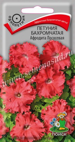 цПетуния Афродита лососевая бахром.
