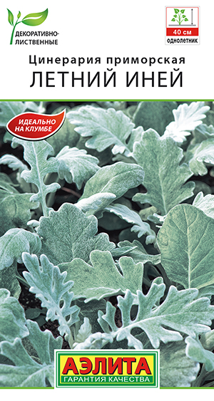 Цинерария Летний иней 0,05г