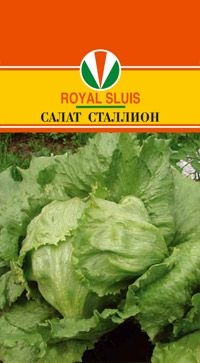 Салат Сталлион 20шт /Semenis/