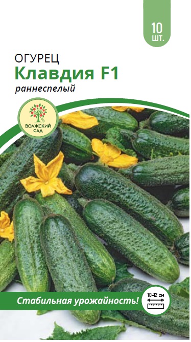 Огурец Клавдия 10шт