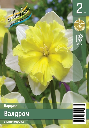 Нарцисс ЭКОНОМ-СЕРИЯ ВАЛДРОМ (2 шт)