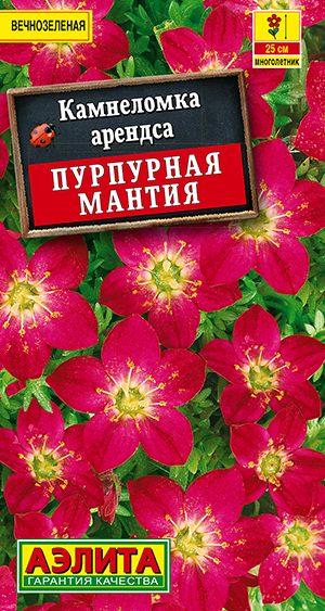 Камнеломка Пурпурная мантия 0,01г