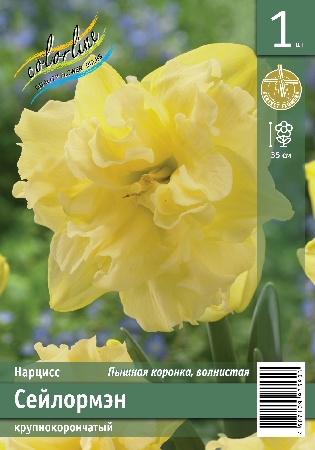 Нарцисс ЭКОНОМ-СЕРИЯ СЕЙЛОРМЭН (1 шт)