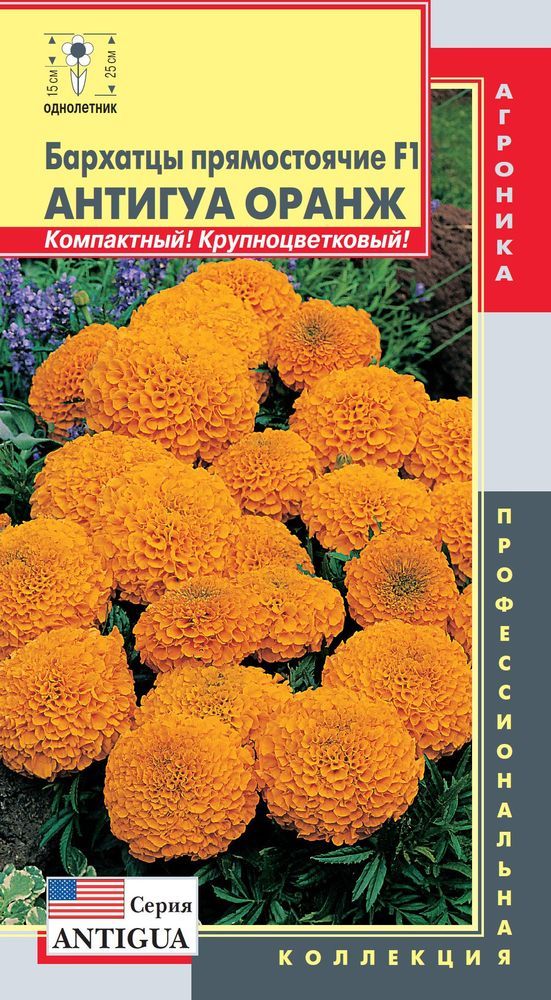 цБархатцы Антигуа Оранж прям. 5шт