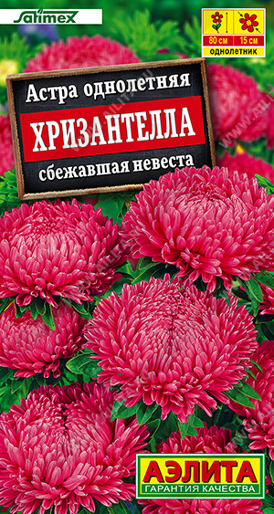 Астра Хризантелла сбежавшая невеста 15шт