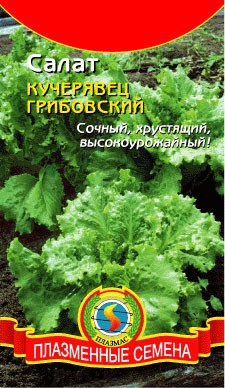 Салат Кучерявец Грибовский 0,9г.