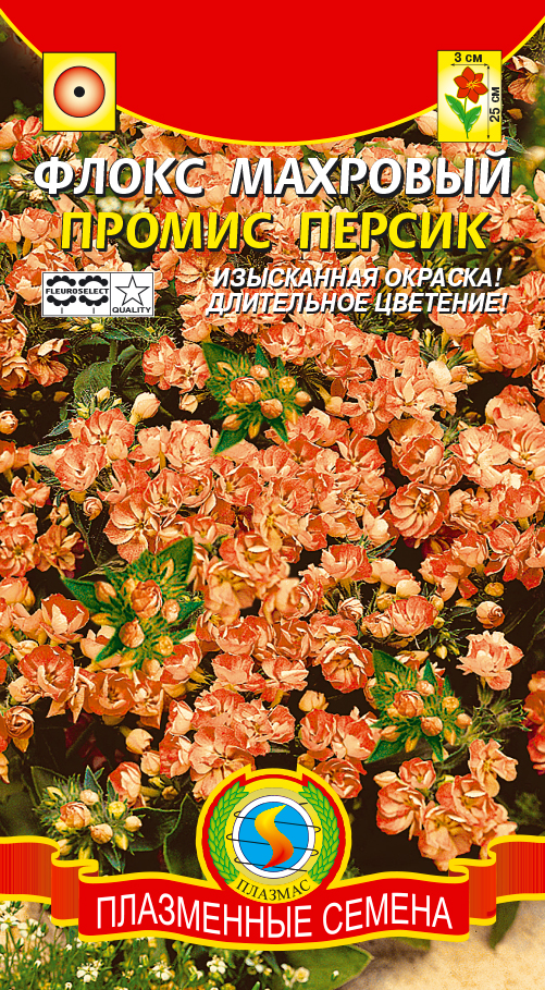 цФлокс Промис Персик 5шт