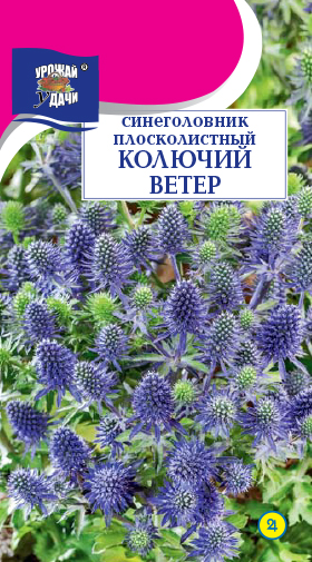 Синеголовник Колючий ветер 0,1г