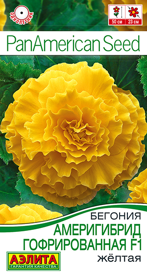 Бегония Америгибрид гофрированная желтая 5шт