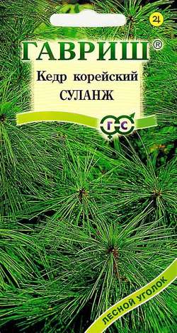 цКедр сибирский Шепард 3 шт.