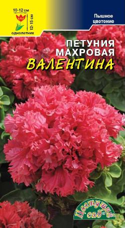 цПетуния Валентина