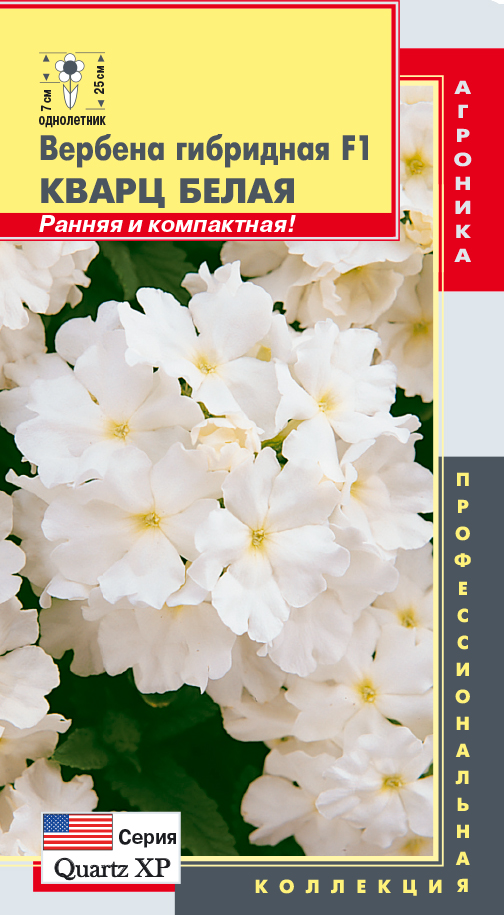 цВербена Кварц Белая 5шт