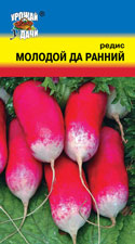 Редис Молодой-да-ранний